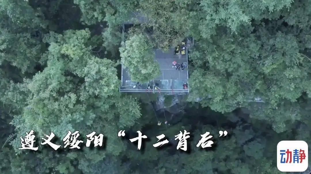 夏日时尚的爱丽