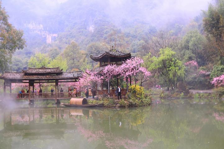 观察睡莲和荷花,它们有哪些适应水生环境的结构特征?——最全面的问答类网站