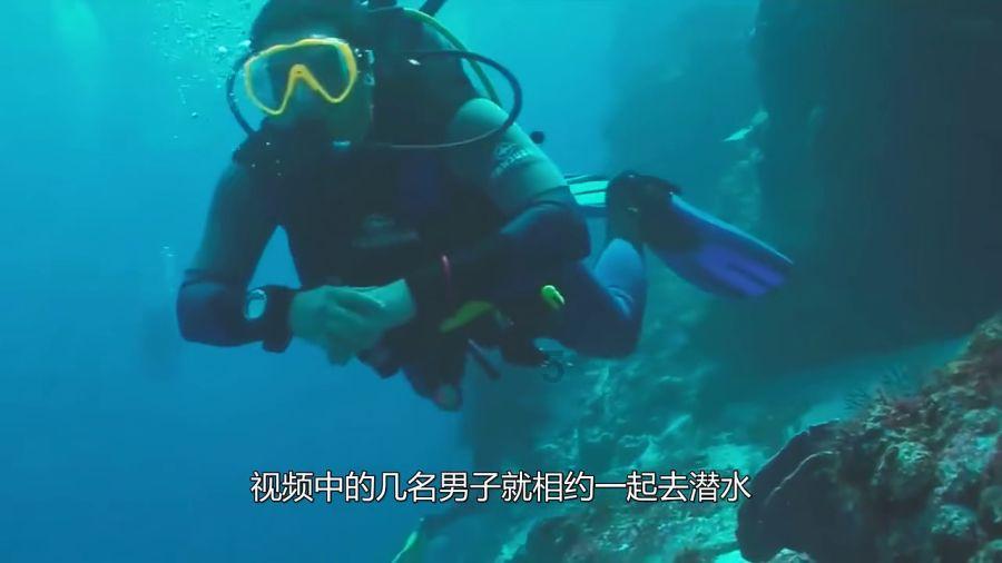 传下去！完美日记快闪店闪现大融城！