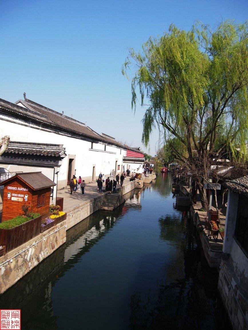 小僵尸射飞鸟